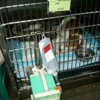 Photo taken at Mount Pleasant Veterinary Centre by Celestine S. on 10/6/2011