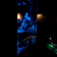 Deep Blue 横浜 関内 横浜市 神奈川県