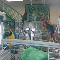 Photo taken at DJ Feathers Aviary by Dave K. on 12/28/2011