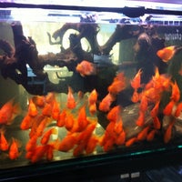 Photo taken at ENSO Fishshop by Third25 J. on 5/22/2012