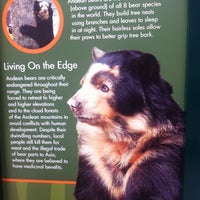 Photo taken at Grizzly Bear Exhibit by Sarah M. on 4/30/2011