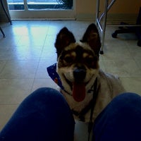 Photo taken at Airport Cities Animal Hospital by CreoleTes on 2/29/2012