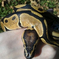 Photo taken at Brookside Snake Rescue by Jane M. on 1/10/2012