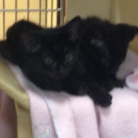 Photo taken at PetSmart by Strumpet101 on 5/23/2012