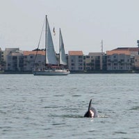 Foto scattata a Tampa Speedboat Adventures da Chris S. il 3/23/2012