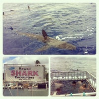 Foto scattata a Hawaii Shark Encounters da asa s. il 8/19/2012