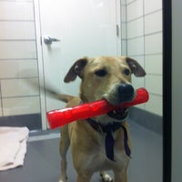 รูปภาพถ่ายที่ SPCA of Texas โดย Nivasha เมื่อ 5/21/2012