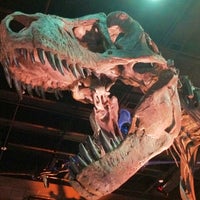 Foto scattata a Houston Museum of Natural Science da eRiC r. il 6/23/2012
