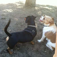 Photo taken at Bijou Dog Park by Maryann A. on 6/18/2012
