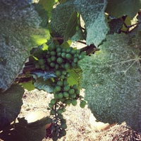 Foto tirada no(a) Rusty Grape Vineyard por Heather B. em 8/15/2012
