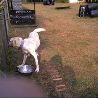 k9 dog training center