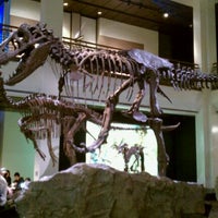 Foto scattata a Houston Museum of Natural Science da Hubert L. il 1/3/2011