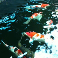 Photo taken at Max Koi Farm by Swee Bee N. on 3/4/2012