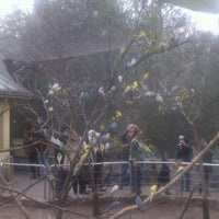 Photo taken at Parakeet Aviary by Michael S. on 12/26/2011