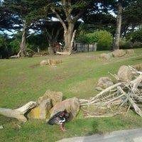 Photo taken at SF Muni - SF Zoo by Ian J. on 1/4/2012