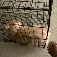 Klinik Veterinar Kepayan - Kota Kinabalu, Sabah