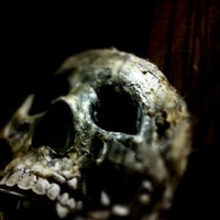 8/7/2011にThomas K.がChambers of Horrorで撮った写真