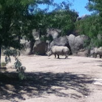 Photo taken at White Rhino Exhibit by Kaelyn G. on 8/11/2012