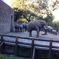 Zoologischer Garten Wuppertal Zoo Wuppertal, NordrheinWestfalen