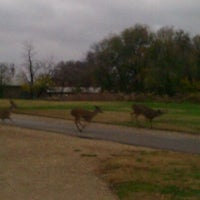 Photo taken at Fort Totten Park by Anna B. on 11/23/2011