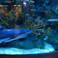 aquarium superstore