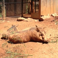 Photo taken at Warthog Exhibit by Scary S. on 9/9/2012