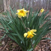 Photo taken at Fanwood Nature Center by Adam S. on 4/22/2011