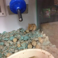 Photo taken at Petco by Jack T. on 5/5/2012