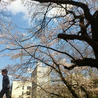Photo taken at ラグビー場 by Kazaru K. on 4/4/2012