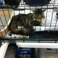 Photo taken at Petco by Frank M. on 9/1/2012