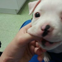Photo taken at English Plaza Animal Hospital by Shell H. on 11/12/2011