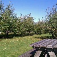 Door Creek Orchard Farm In Cottage Grove