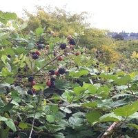 Photo taken at Woolwich Common by Luise on 8/6/2011