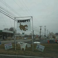 รูปภาพถ่ายที่ Diane&#39;s Discount Pet Supplies and Adoption Center โดย Lisa G. เมื่อ 1/26/2012