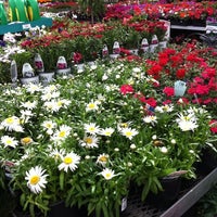 Photo taken at Orchard Supply Hardware by Jessica C. on 4/20/2012