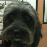 banfield waterford lakes