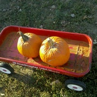 Снимок сделан в Pumpkinville &amp; Corn Maze пользователем Whitney S. 10/8/2011