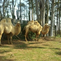 Photo taken at Pampas Safari by Julio E. on 9/4/2011