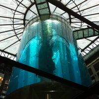 Aquadom & SEA LIFE Berlin - Aquarium in Mitte