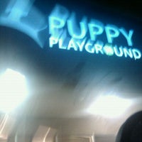 Photo taken at Puppy Playground by Amanda M. on 10/4/2011