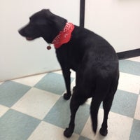 banfield pet hospital ikea blvd