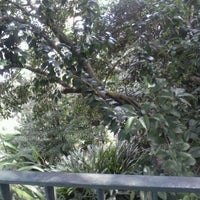 Das Foto wurde bei Cereal Brasil Restaurante Natural von Lia L. am 5/11/2012 aufgenommen