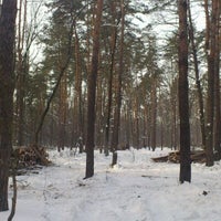 Photo taken at Ліс by Вячеслав Б. on 2/18/2012