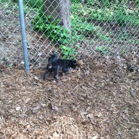 Photo taken at Monroe Place Dog Park by Rico N. on 4/2/2012
