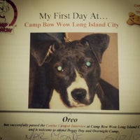รูปภาพถ่ายที่ Camp Bow Wow โดย Dave M. เมื่อ 5/12/2012