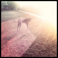 Photo taken at Longwood Park Dog Park by Jordan C. on 8/20/2012