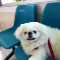 Photo taken at Ari Pet Hospital by Winny P. on 7/17/2012