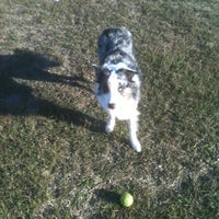 Photo taken at Summer Winds Dog Park by ⚡Eric⚡ on 11/3/2011