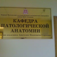 Кафедра патанатомии рниму