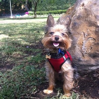 Photo taken at Poinsettia Park Dog Area by Gretchen S. on 6/22/2012